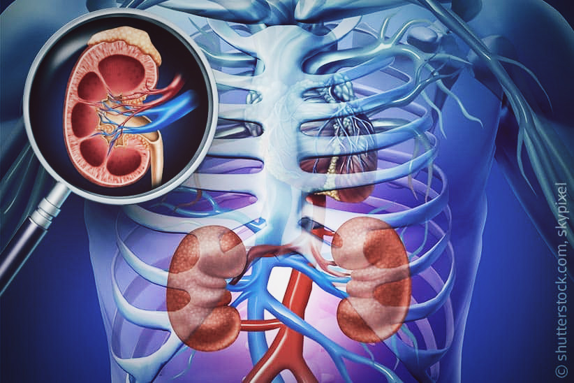 hormonexpert-diabetes-folgeerkrankungen-nephropathie-by-shutterstock-skypixel.jpg